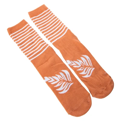 Coffee Crew Socks