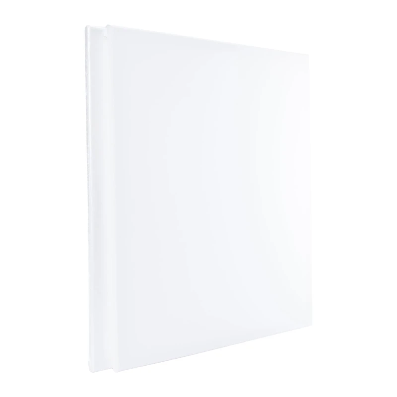 16in x 20in Stretched Canvas 2-Count