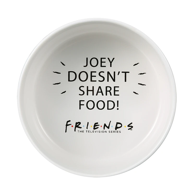 Friends™ 'Joey Doesn't Share Food' Ceramic Pet Bowl, 6in (3.5 Cups)