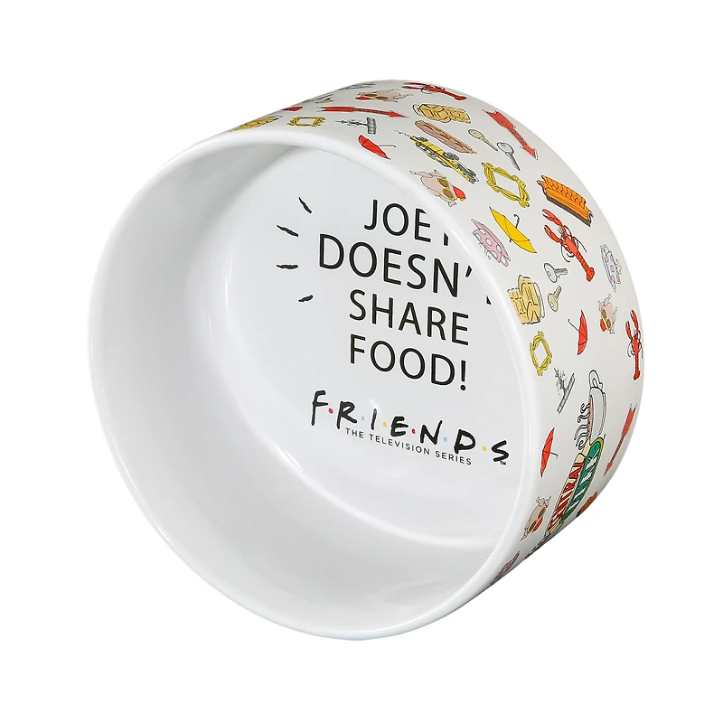 Friends™ 'Joey Doesn't Share Food' Ceramic Pet Bowl, 6in (3.5 Cups)