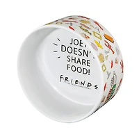 Friends™ 'Joey Doesn't Share Food' Ceramic Pet Bowl, 6in (3.5 Cups)