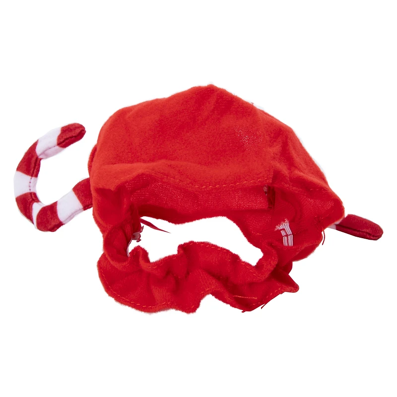 Holiday Cat Hat