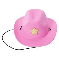 Pet Hat