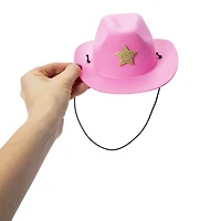 Pet Hat