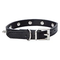Spike Dog Collar