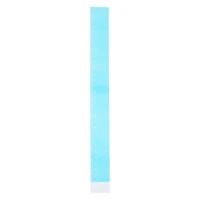 12-Inch Iridescent Ruler