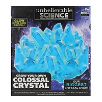 Unbelievable Science Grow Your Own Colossal Crystal