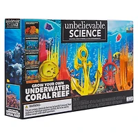 Unbelievable Science Grow Your Own Underwater Coral Reef