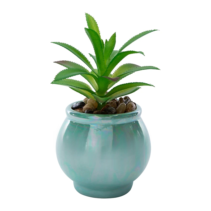 Skull Faux Succulent