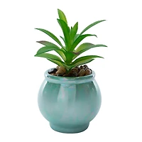 Skull Faux Succulent