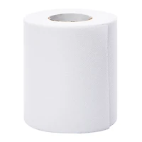 No-Tear Toilet Paper Prank