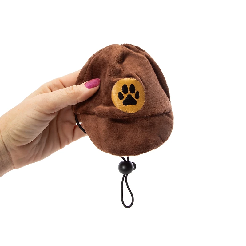 Delivery Driver Pet Costume