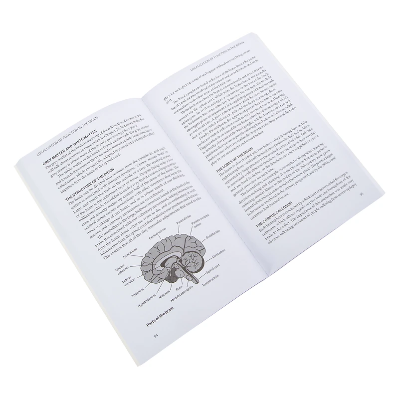 Psychology: 50 Key Ideas Unpacked