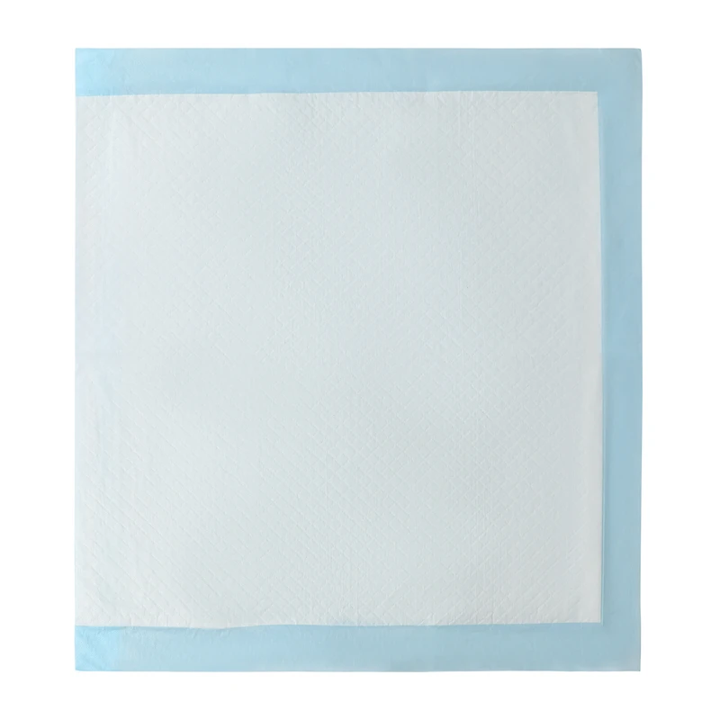 Pawsitively Fun! Pets Training Pads 30-Pack