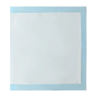 Pawsitively Fun! Pets Training Pads 30-Pack