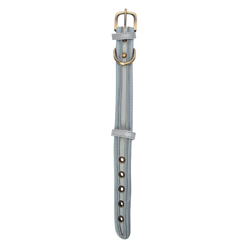 Pawsitively Fun! Dog Collar