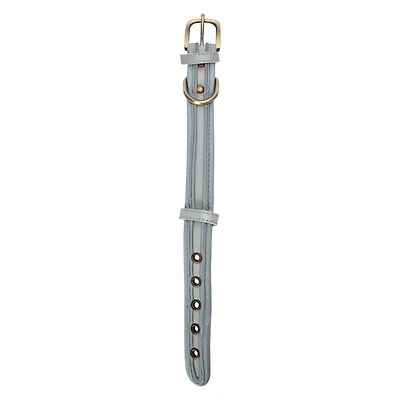 Pawsitively Fun! Dog Collar