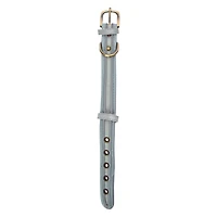Pawsitively Fun! Dog Collar