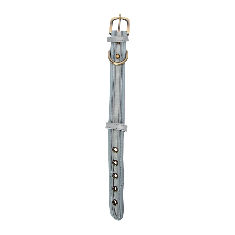 Pawsitively Fun! Dog Collar