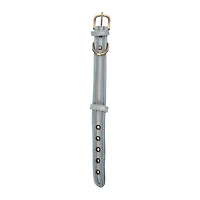 Pawsitively Fun! Dog Collar