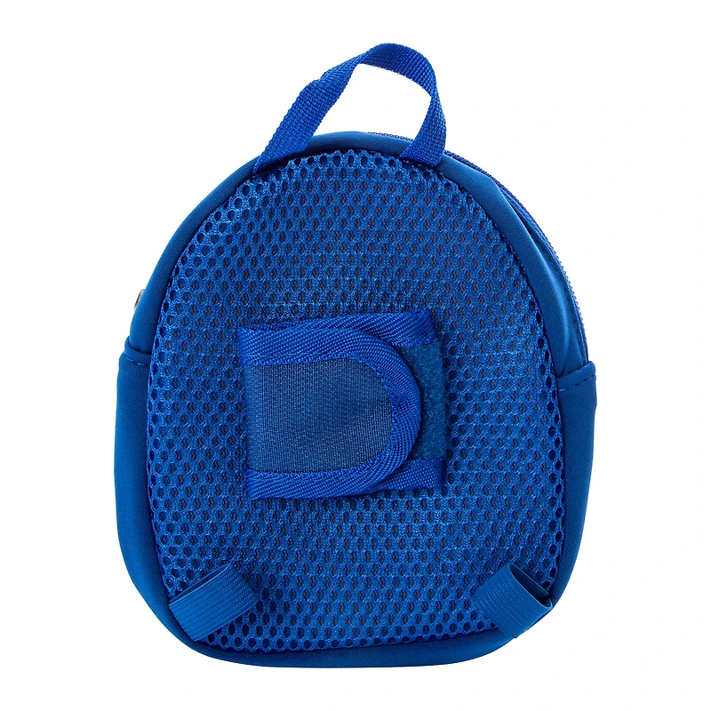 Pawsitively Fun Pet Backpack