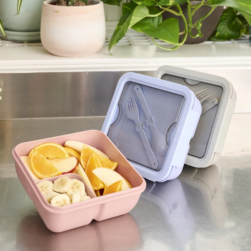 Square Bento Box