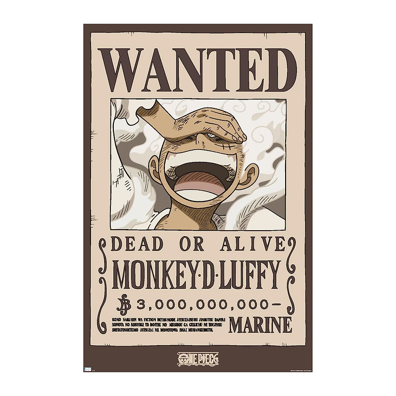 Iconic Wall Art Poster 22.3in x 34in
