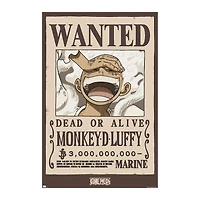 Iconic Wall Art Poster 22.3in x 34in