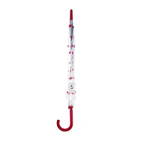 Heart Bubble Umbrella