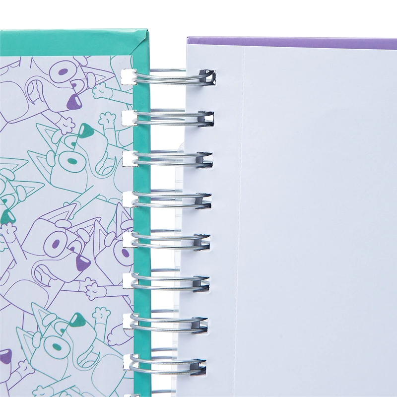 Bluey Sketchbook Set
