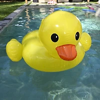 Quack Up Ridable Float