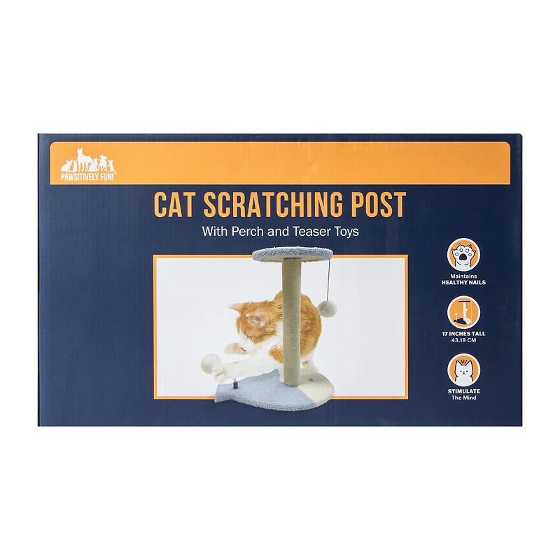 Cat Scratching Post With Perch & Teaser Toys