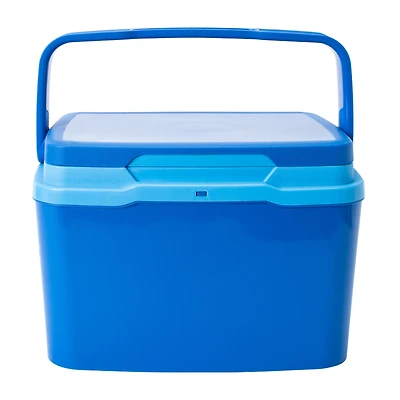 Mini Cooler
