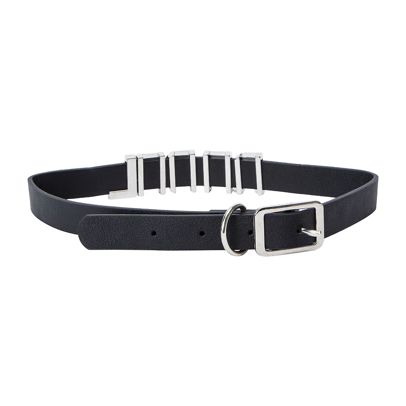 Large Pet Jewelry