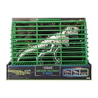 Unbelievable Science Awesome Anatomies Kit