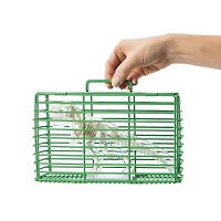 Unbelievable Science Awesome Anatomies Kit