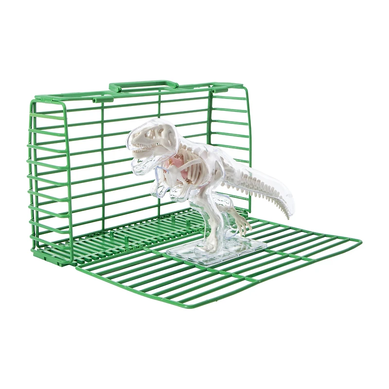 Unbelievable Science Awesome Anatomies Kit
