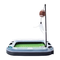 Football Field Cat Scratcher With Catnip