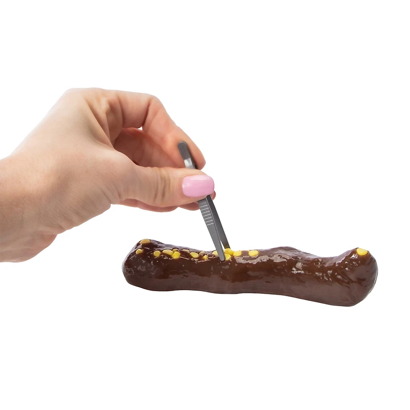 Giant Fake Poop