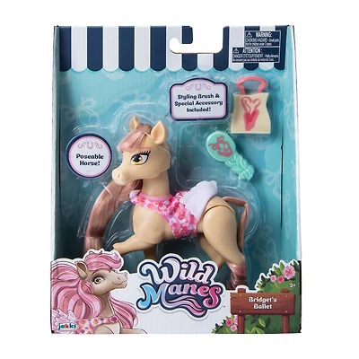 Wild Manes™ Bridget's Ballet Toy Set