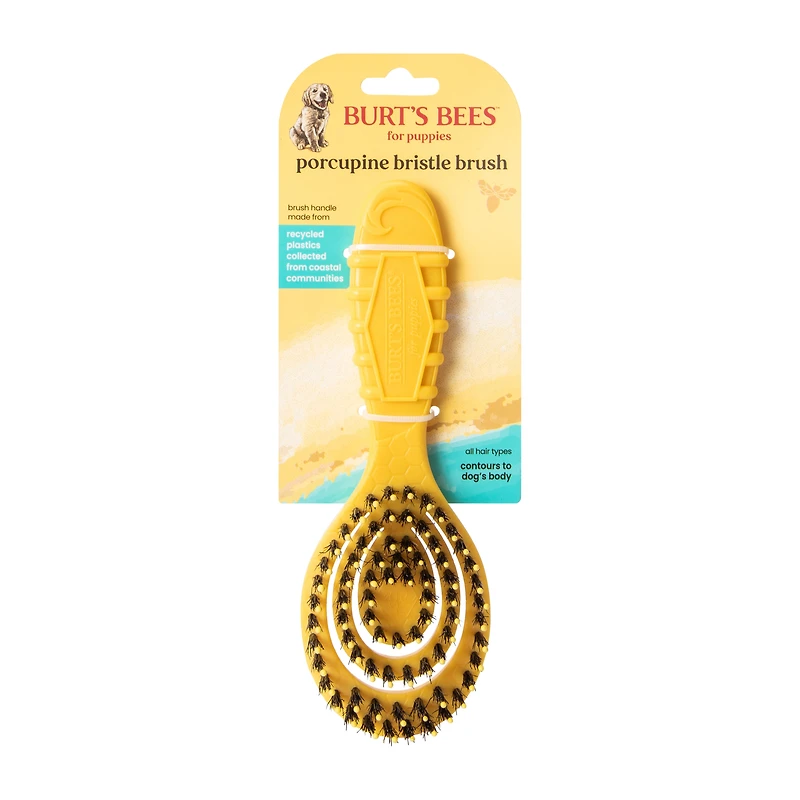 Burt's Bees™ For Puppies Porcupine Bristle Brush