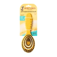 Burt's Bees™ For Puppies Porcupine Bristle Brush