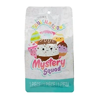 Squishmallows™ Mystery Squad (Styles May Vary)