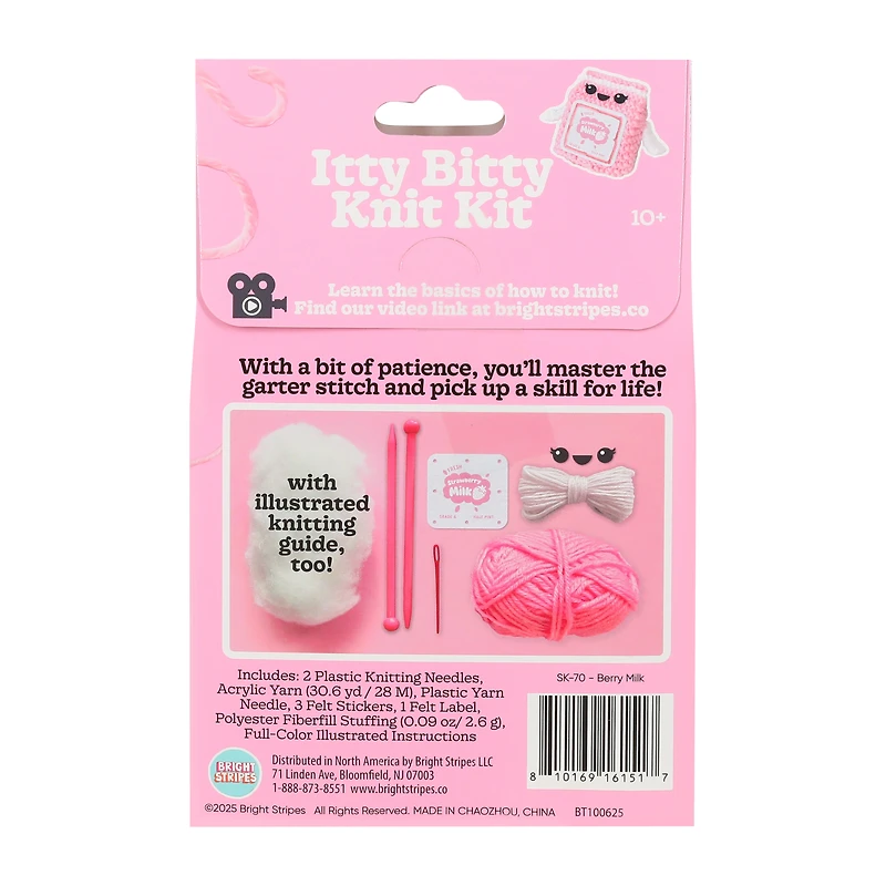 Itty Bitty Knit Kit Set