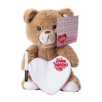 Valentine's Day Teddy Bear