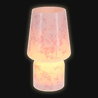 Glass Lamp