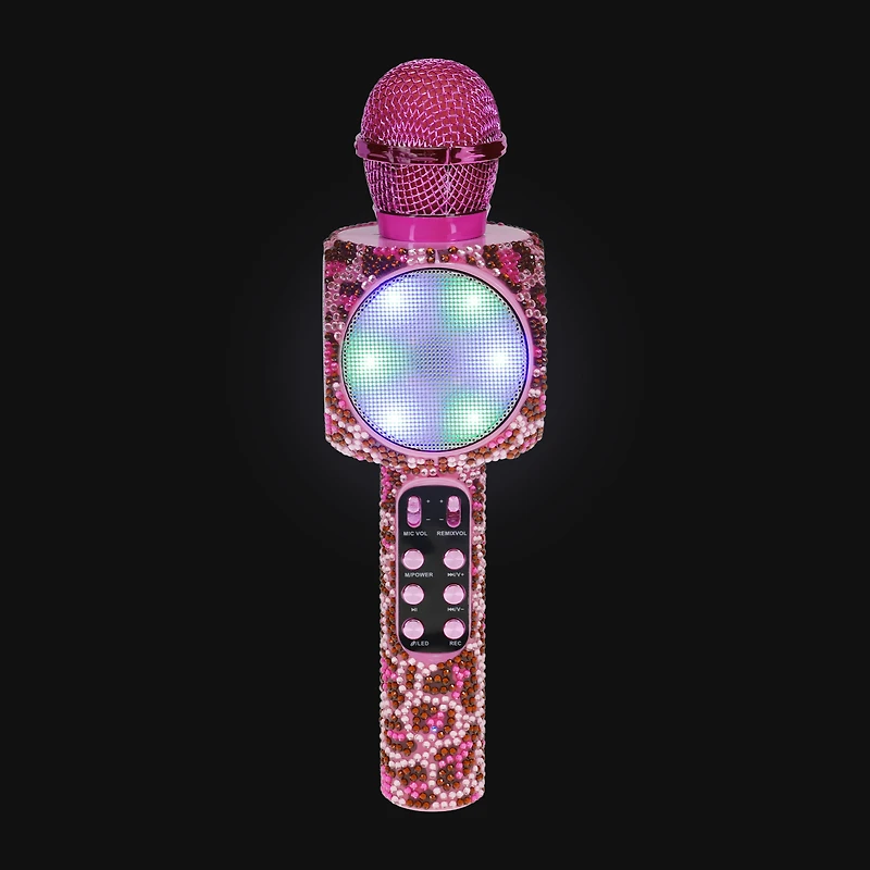 Karaoke Microphone
