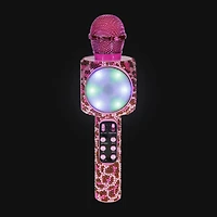 Karaoke Microphone