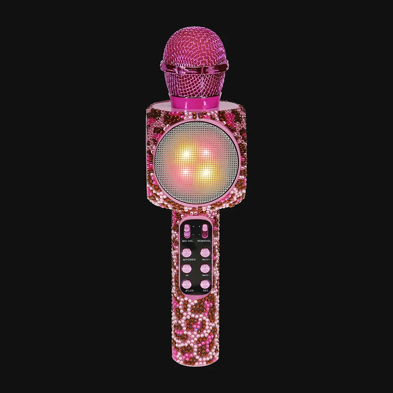 Karaoke Microphone