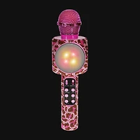 Karaoke Microphone